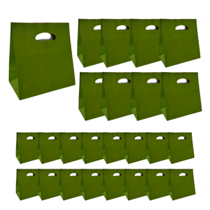 25 Sacolas Kraft Verde Premium 26x14,5x24 - Sustentavel