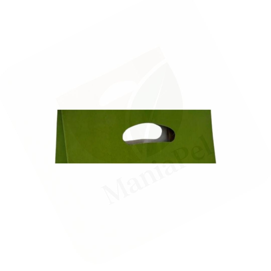 25 Sacolas Kraft Verde Premium 26x14,5x24 - Sustentavel